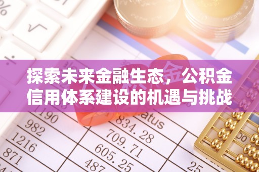 惠安探索未来金融生态，公积金信用体系建设的机遇与挑战