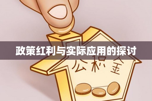惠安政策红利与实际应用的探讨